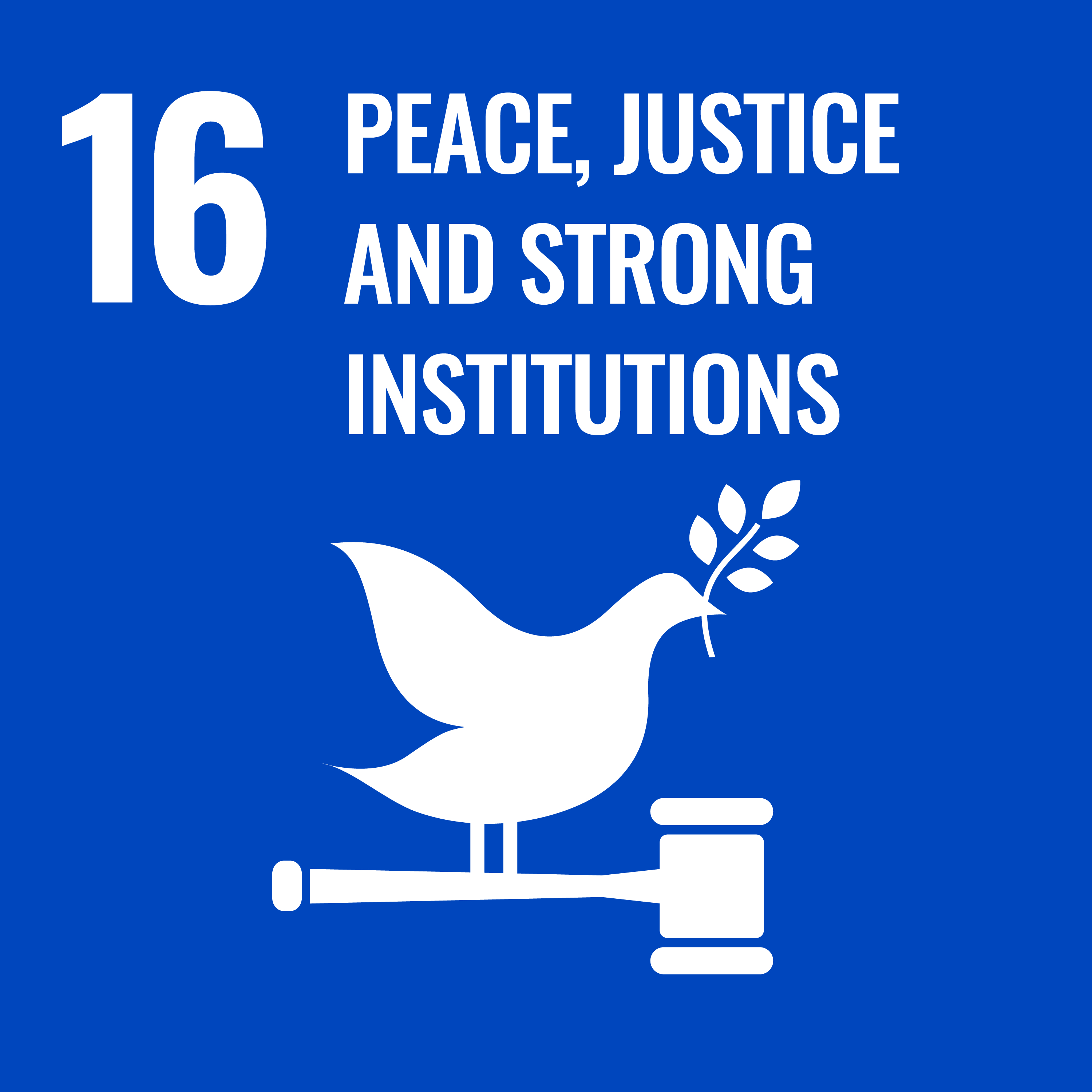 Goal 16: Peace, justice and strong institutions