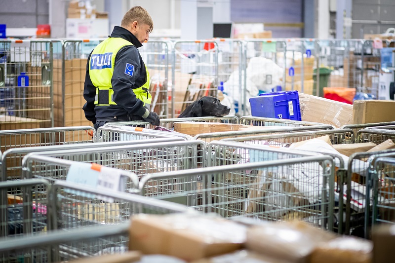 Keskellä koiranohjaaja katsoo, kun musta labradorinnoutaja kurkistaa metallisen häkkilaatikon reunan yli ja katsoo postipaketteja.