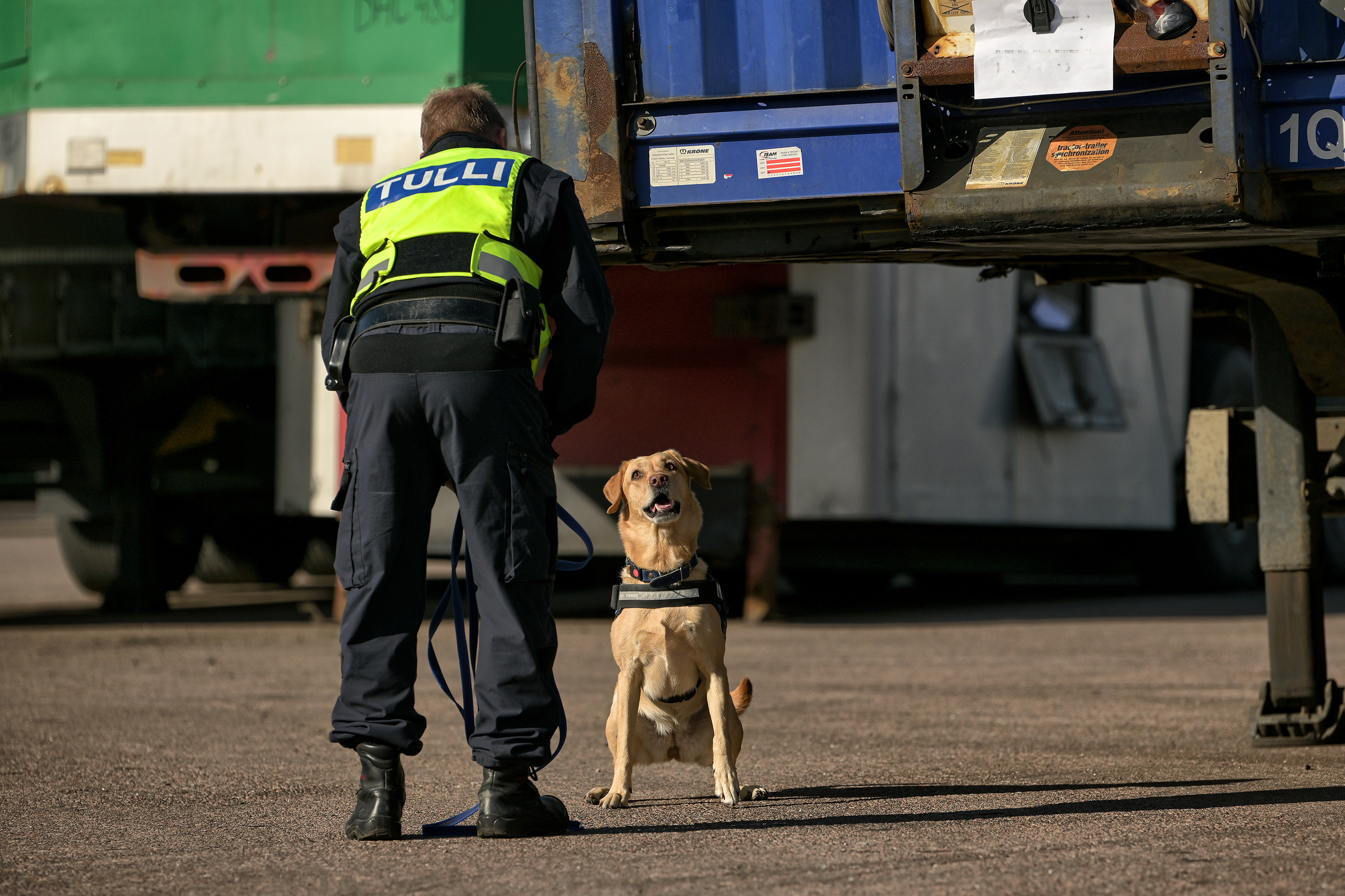 Maahan kyykistyvä tullikoira katsoo ohjaajaansa suoraan silmiin satamassa. Virka-asuinen koiranohjaaja katsoo koiraa silmiin ja on selin katsojaan päin.