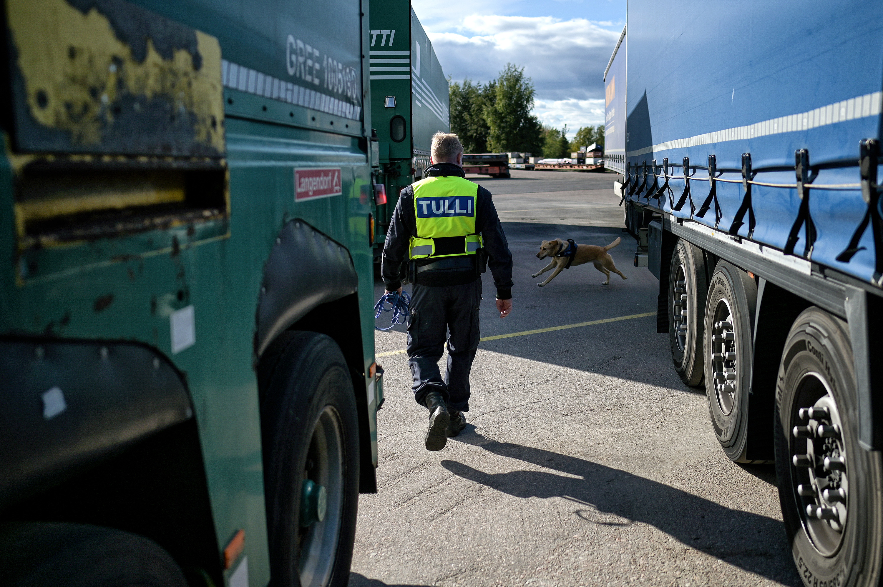 Tullikoira loikkii kuorma-autojen välissä satamassa. Virka-asuinen koiranohjaaja seuraa koiraa selin katsojaan päin.