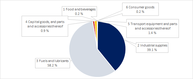 Figure 3. The shares of the main goods groups of the total goods imports from Russia in 2021 (BEC)